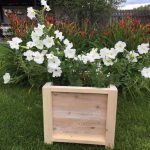 Коробка для садовых растений